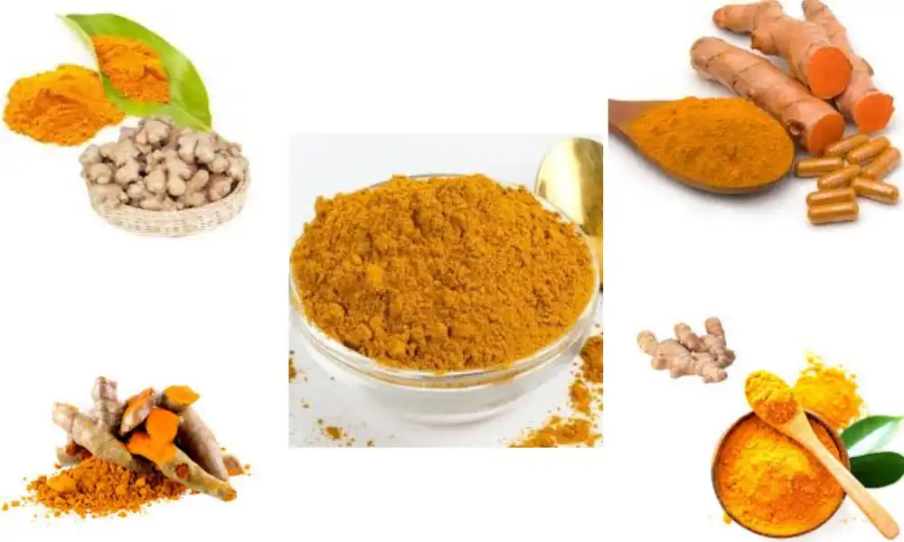 What is the solubility of curcumin powder?
